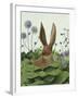 Cabbage Patch Rabbit 5-null-Framed Art Print