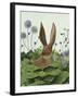 Cabbage Patch Rabbit 5-null-Framed Art Print