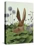 Cabbage Patch Rabbit 5-null-Stretched Canvas