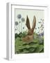 Cabbage Patch Rabbit 5-null-Framed Art Print