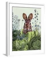 Cabbage Patch Rabbit 6-null-Framed Art Print