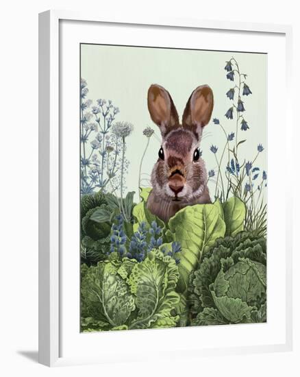 Cabbage Patch Rabbit 6-null-Framed Art Print