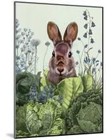 Cabbage Patch Rabbit 6-null-Mounted Art Print