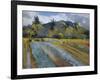 Cabbage Patch-Boscoe Holder-Framed Giclee Print