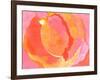 Cabbage Rose I-Carolyn Roth-Framed Art Print