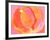 Cabbage Rose I-Carolyn Roth-Framed Art Print