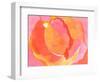 Cabbage Rose I-Carolyn Roth-Framed Art Print