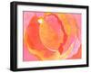 Cabbage Rose I-Carolyn Roth-Framed Art Print