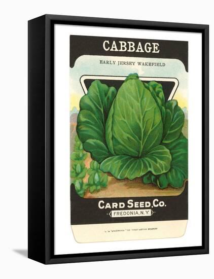 Cabbage Seed Packet-null-Framed Stretched Canvas