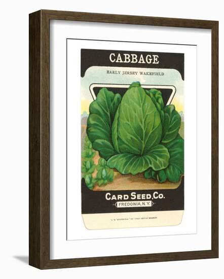 Cabbage Seed Packet-null-Framed Art Print