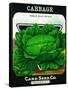 Cabbage Seed Packet-Lantern Press-Framed Stretched Canvas