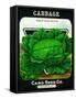 Cabbage Seed Packet-Lantern Press-Framed Stretched Canvas