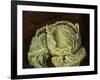 Cabbage Still Life, 2000-Vincent Yorke-Framed Giclee Print