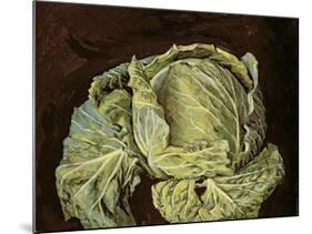 Cabbage Still Life, 2000-Vincent Yorke-Mounted Giclee Print