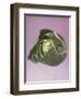 Cabbage with laces, 2000-Norman Hollands-Framed Photographic Print