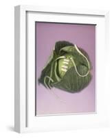 Cabbage with laces, 2000-Norman Hollands-Framed Photographic Print