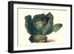 Cabbage-Philippe-Victoire Leveque de Vilmorin-Framed Art Print