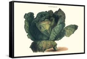 Cabbage-Philippe-Victoire Leveque de Vilmorin-Framed Stretched Canvas