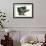 Cabbage-Philippe-Victoire Leveque de Vilmorin-Framed Premium Giclee Print displayed on a wall