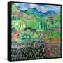 Cabbages and Lilies, Solola Region, Guatemala, 1993-Hilary Simon-Framed Stretched Canvas