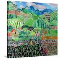 Cabbages and Lilies, Solola Region, Guatemala, 1993-Hilary Simon-Stretched Canvas