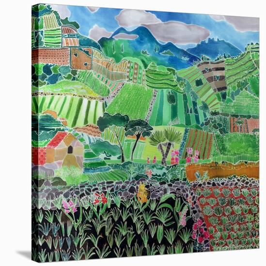 Cabbages and Lilies, Solola Region, Guatemala, 1993-Hilary Simon-Stretched Canvas
