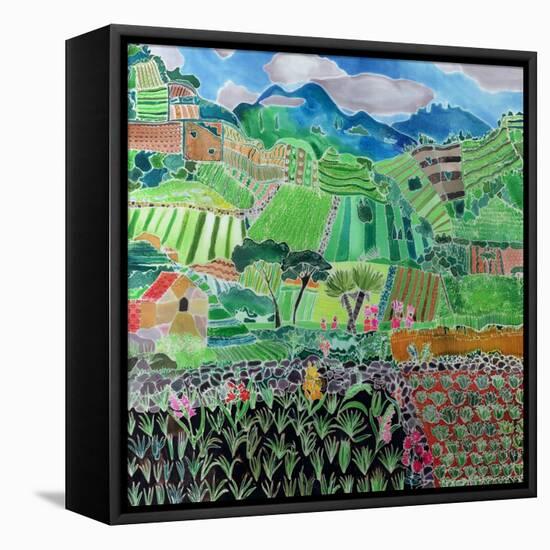 Cabbages and Lilies, Solola Region, Guatemala, 1993-Hilary Simon-Framed Stretched Canvas