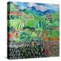 Cabbages and Lilies, Solola Region, Guatemala, 1993-Hilary Simon-Stretched Canvas