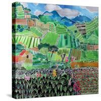 Cabbages and Lilies, Solola Region, Guatemala, 1993-Hilary Simon-Stretched Canvas