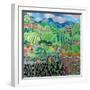 Cabbages and Lilies, Solola Region, Guatemala, 1993-Hilary Simon-Framed Giclee Print