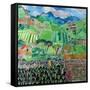 Cabbages and Lilies, Solola Region, Guatemala, 1993-Hilary Simon-Framed Stretched Canvas
