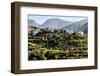 Cabeca, Portugal-Mark A Johnson-Framed Photographic Print