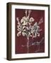 Cabernet Blossoms I-Liz Jardine-Framed Art Print