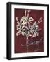 Cabernet Blossoms I-Liz Jardine-Framed Art Print