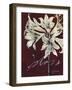 Cabernet Blossoms II-Liz Jardine-Framed Art Print