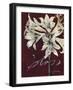 Cabernet Blossoms II-Liz Jardine-Framed Art Print