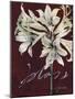 Cabernet Blossoms II-Liz Jardine-Mounted Art Print