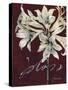 Cabernet Blossoms II-Liz Jardine-Stretched Canvas