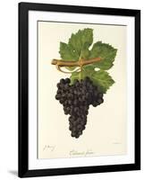 Cabernet Franc Grape-J. Troncy-Framed Giclee Print