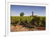 Cabernet Franc Grapes Growing in a Montsoreau Vineyard, Maine-Et-Loire, France, Europe-Julian Elliott-Framed Photographic Print