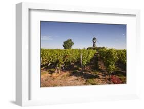 Cabernet Franc Grapes Growing in a Montsoreau Vineyard, Maine-Et-Loire, France, Europe-Julian Elliott-Framed Photographic Print