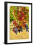 Cabernet Sauvignon Grapes in Columbia Valley, Washington, USA-Richard Duval-Framed Photographic Print