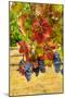 Cabernet Sauvignon Grapes in Columbia Valley, Washington, USA-Richard Duval-Mounted Photographic Print