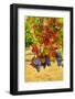 Cabernet Sauvignon Grapes in Columbia Valley, Washington, USA-Richard Duval-Framed Photographic Print