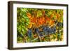 Cabernet Sauvignon Grapes Ready for Harvest, Washington, USA-Richard Duval-Framed Photographic Print