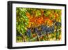 Cabernet Sauvignon Grapes Ready for Harvest, Washington, USA-Richard Duval-Framed Photographic Print