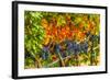 Cabernet Sauvignon Grapes Ready for Harvest, Washington, USA-Richard Duval-Framed Photographic Print