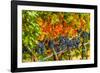 Cabernet Sauvignon Grapes Ready for Harvest, Washington, USA-Richard Duval-Framed Photographic Print