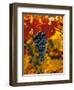 Cabernet Sauvignon Grapes-Charles O'Rear-Framed Photographic Print