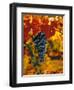 Cabernet Sauvignon Grapes-Charles O'Rear-Framed Photographic Print